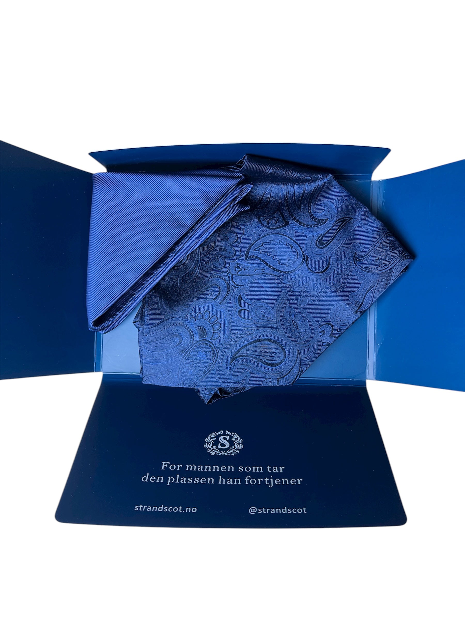 Harbor line silk Ascot